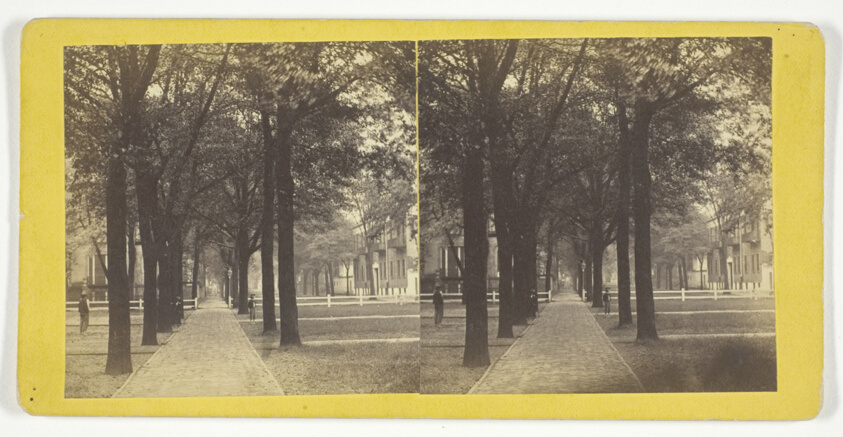 Bull St. from Madison Square