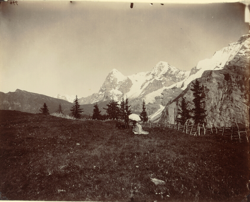 Adolphe Braun — Landscape, Switzerland