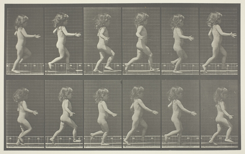 Animal Locomotion, Plate 469