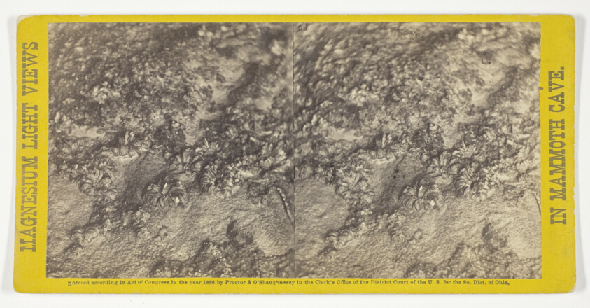 Chas. Waldack — "Rosa's Bower", No. 40 from the series "Mammoth Cave Views"