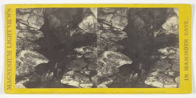 "Wild Hall", No. 23 from the series "Mammoth Cave Views"