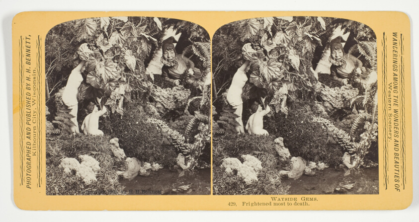 Henry Hamilton Bennett — Frightened most to death, No. 429 from the series "Wayside Gems"