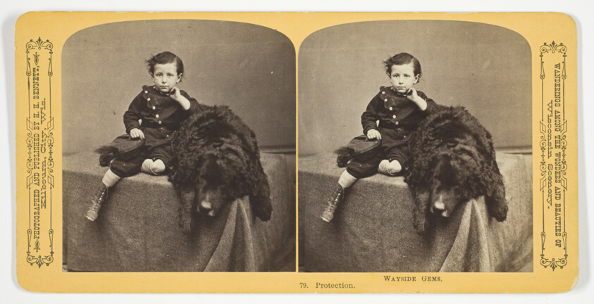 Henry Hamilton Bennett — Protection, No. 79 from the series "Wayside Gems"