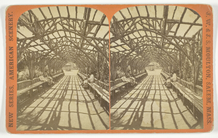 J.W. & J.S. Moulton — Vine Clad Arbor, No. 303 from the series "Boston, Mass., and Vicinity"