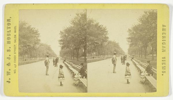 The Mall, No. 215 from the series "New York City & Vicinity"