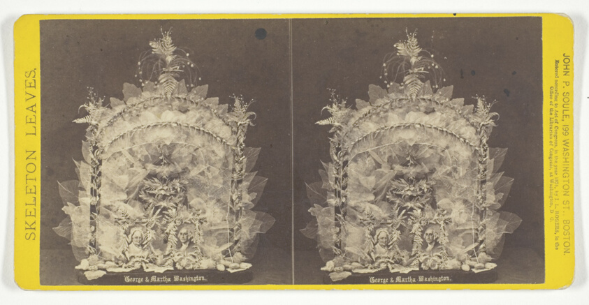 John P. Soule — George & Martha Washington, from the series "Skeleton Leaves"