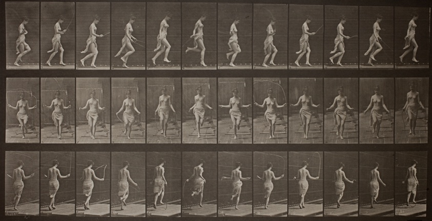 Animal Locomotion, Plate 174