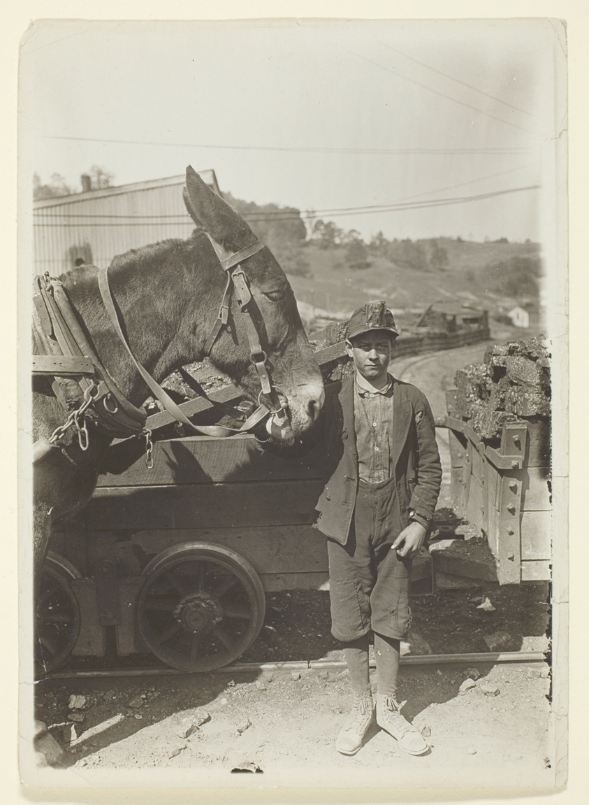 Lewis Wickes Hine — Young Driver In West Virginia Coal Mine