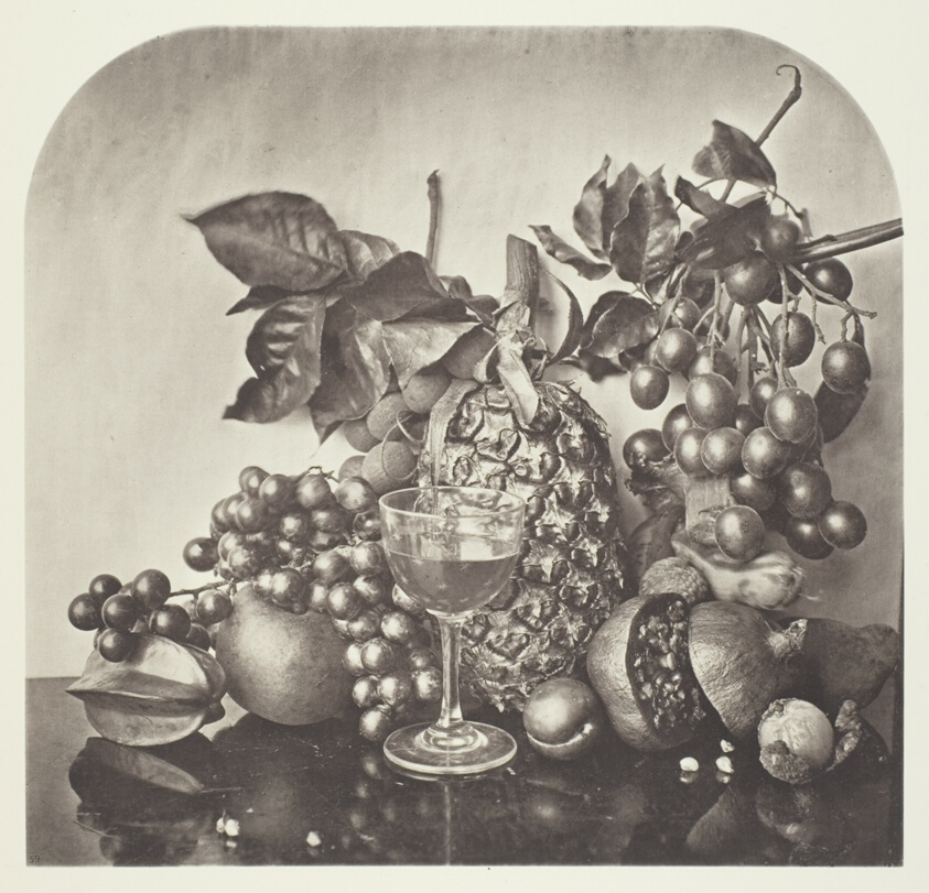 John Thomson — Fruit