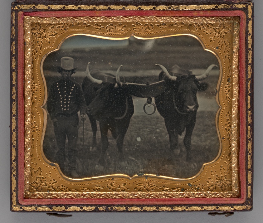 Unknown maker — Untitled (Portrait of Man with Two Oxen)