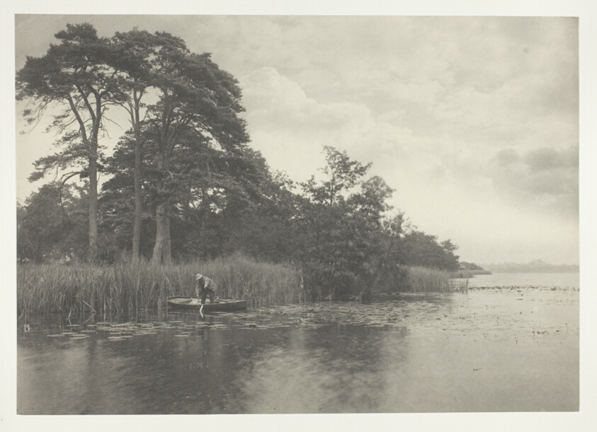 Peter Henry Emerson — The Haunt of the Pike
