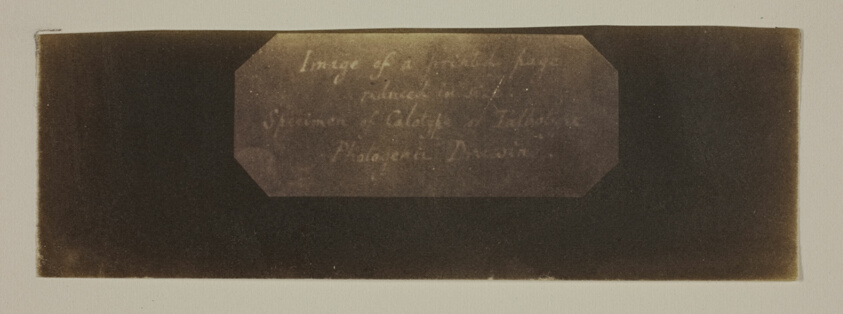 William Henry Fox Talbot — Specimen of Calotype of Talbotype, Photogenic Drawing [label]