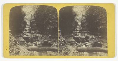 Artist's Dream, No. 18 from the series "Stereographs of the Watkins Glen"