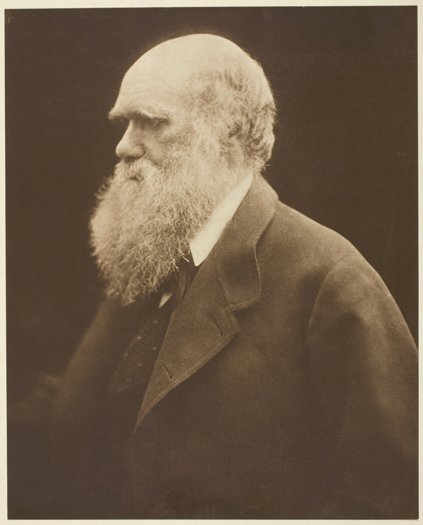 Julia Margaret Cameron — Charles Darwin
