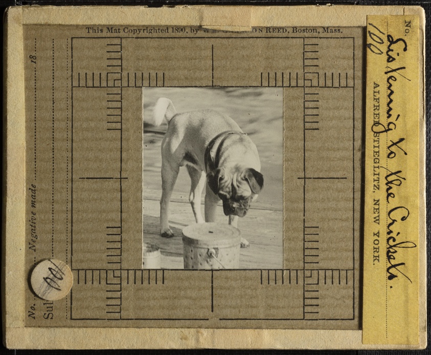 Alfred Stieglitz — Listening to the Crickets