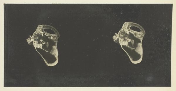 The Labyrinth of Animals; Including Mammals, Birds, Reptiles, & Amphibians - Vol. II