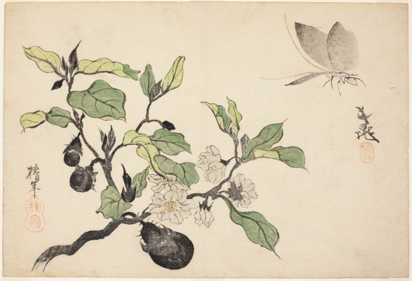 Ônishi Chinnen — Eggplant with fruit and flowers