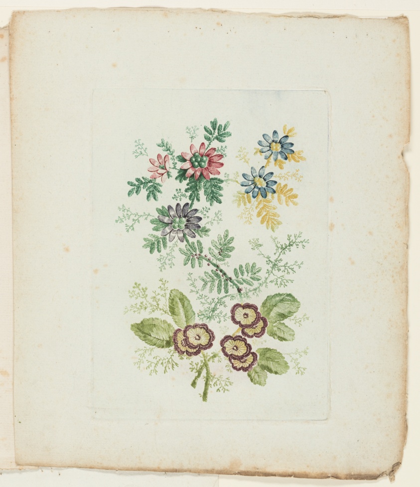Anne Allen — Plate, from New Suite of Notebooks of Ideal Flowers for Use by Draftsmen and Painters