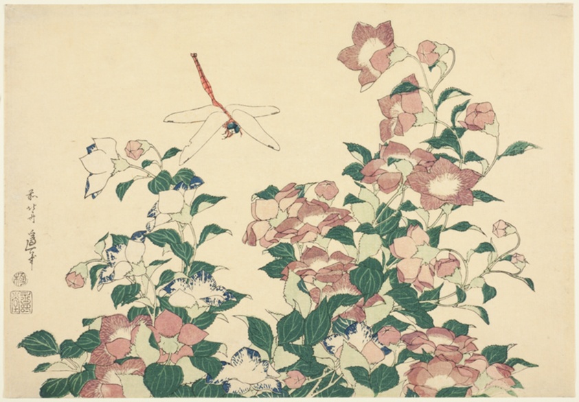 Katsushika Hokusai — Bell-Flower and Dragonfly, from an untitled series of large flowers