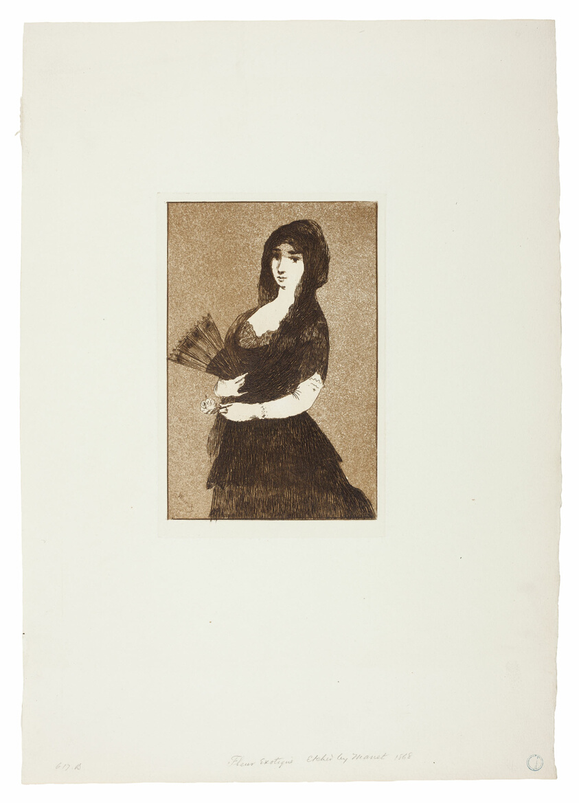 Édouard Manet — Exotic Flower (Woman in a Mantilla)