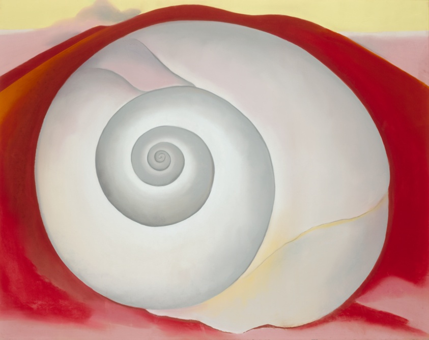 White Shell with Red