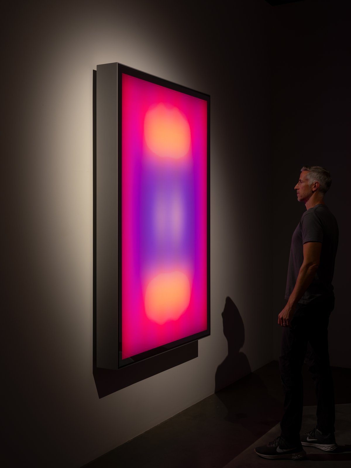 Phillip K. Smith III — Luminous Field 2
