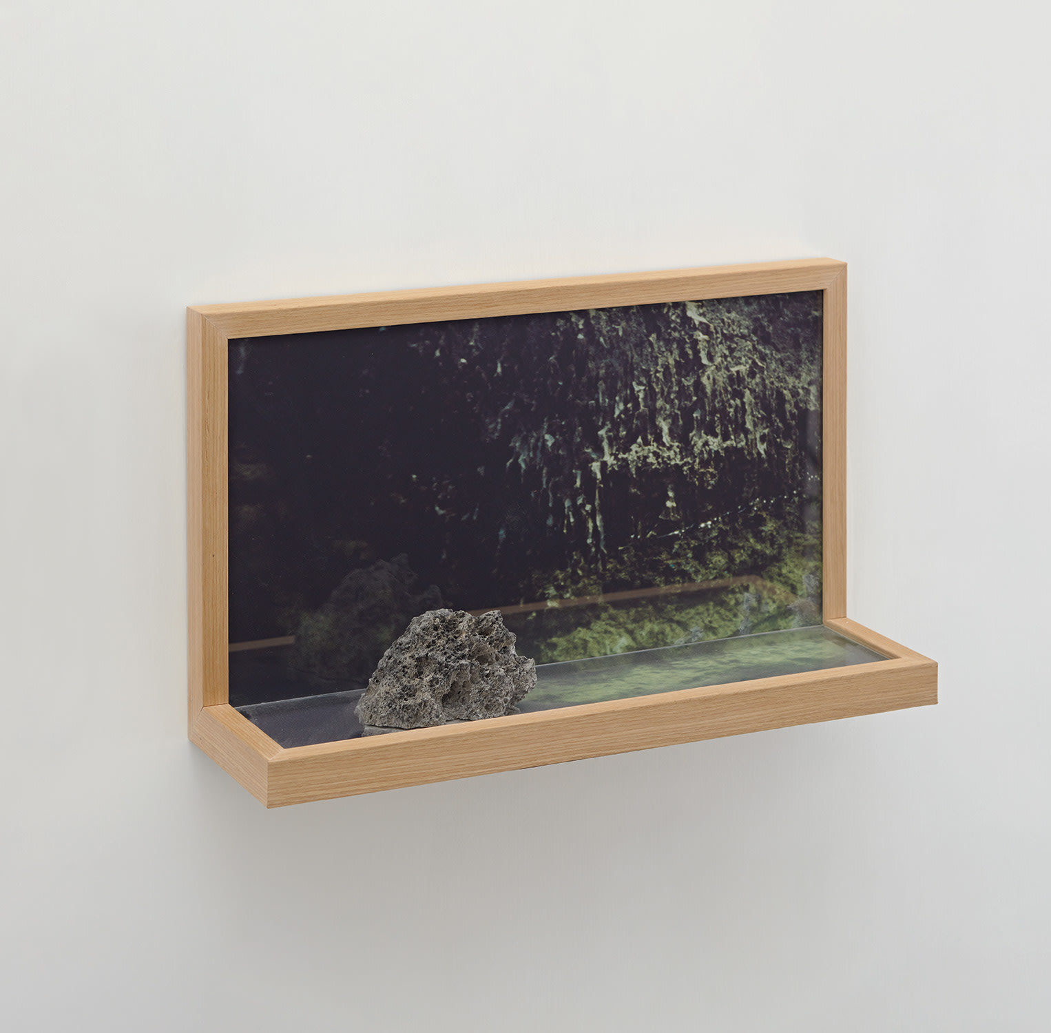 Trevor Yeung — Island5030