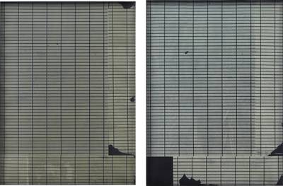 Two Works: (i) News XIII; (ii) News XV