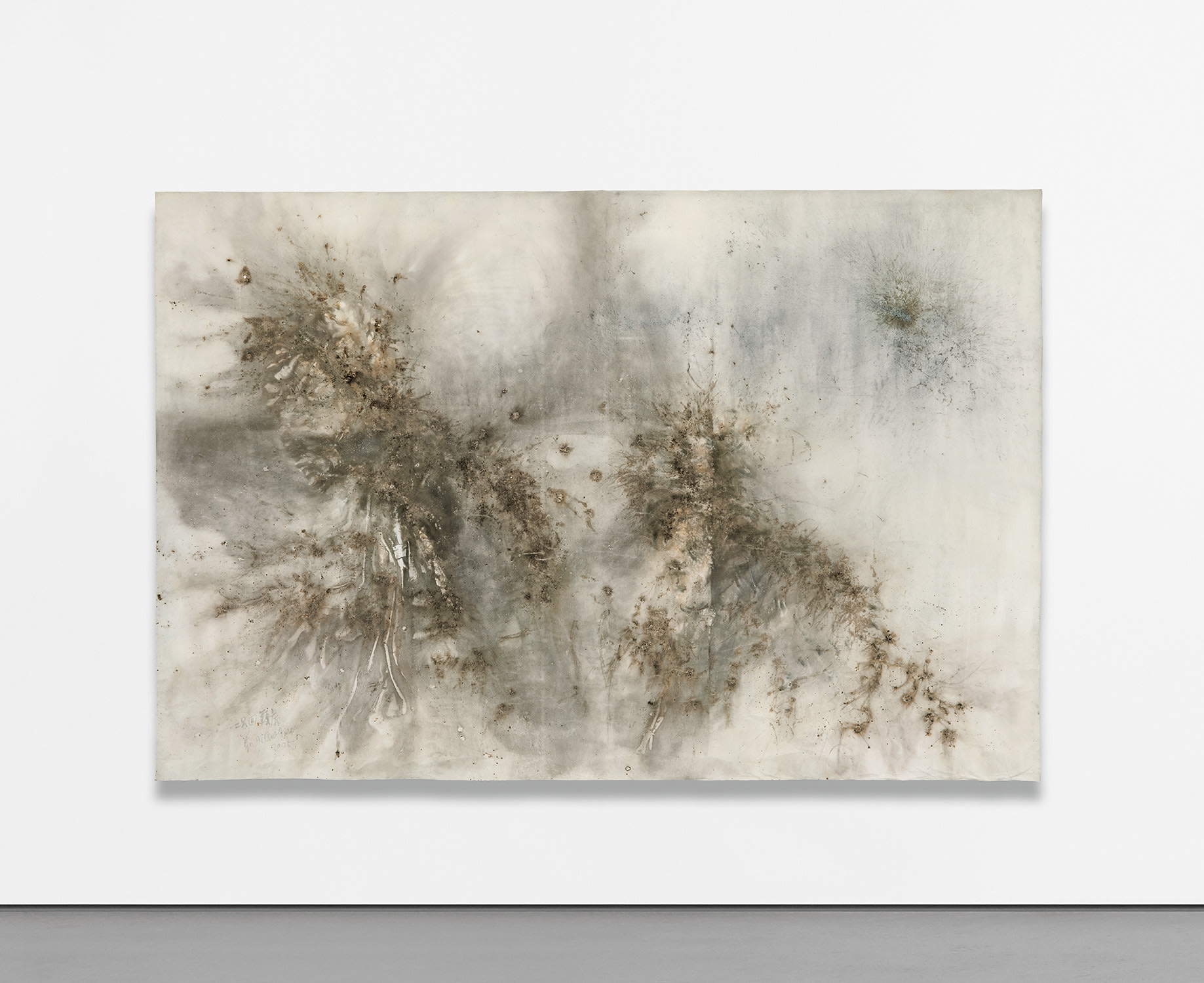 Cai Guo-Qiang — Two Wandering Tigers