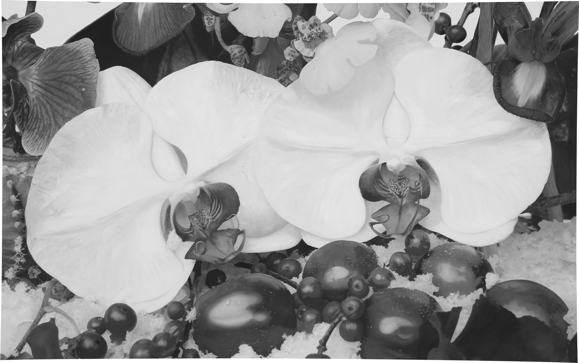 Marc Quinn — Mirror 2