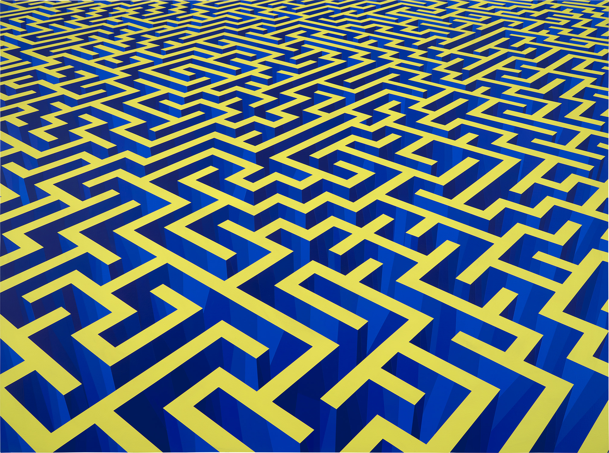 Maze Dark Blue & Yellow
