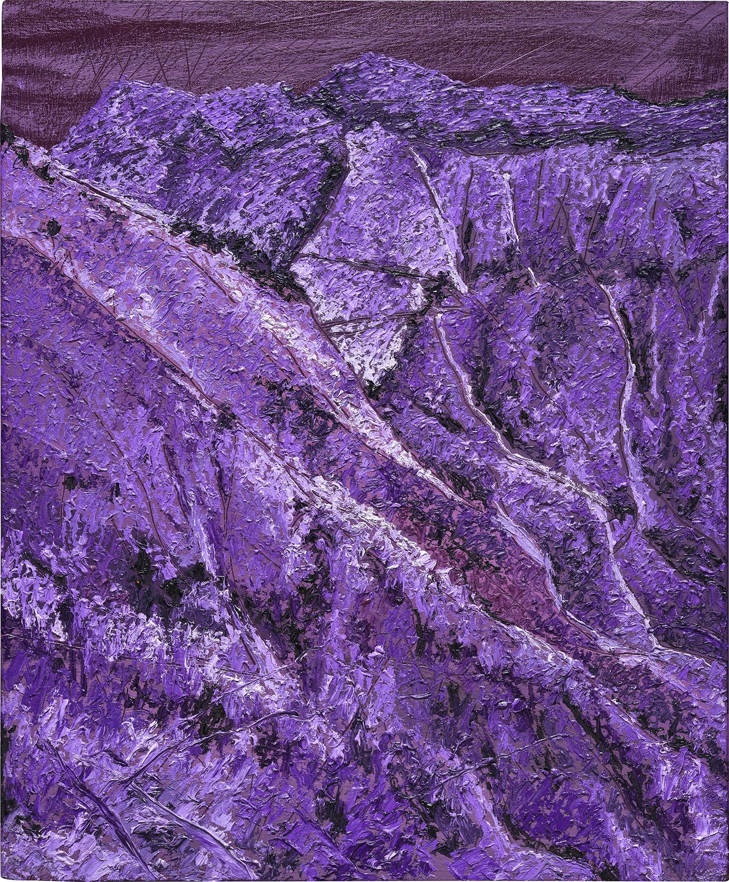 Ross Caliendo — Violet Vista