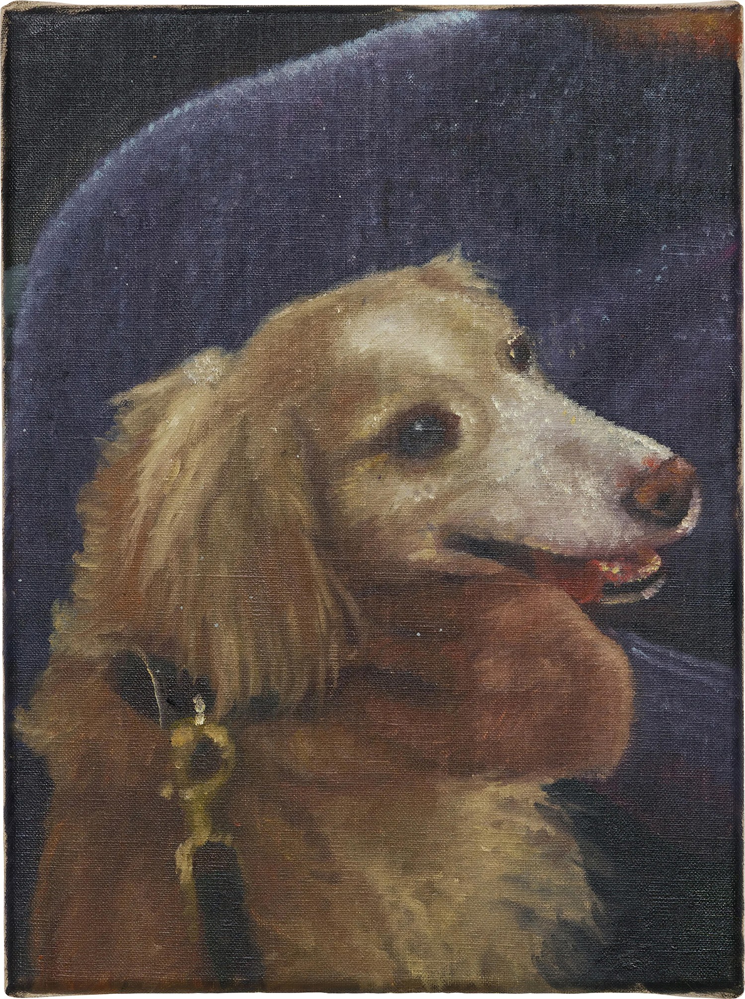 Mozzarella / the confidante