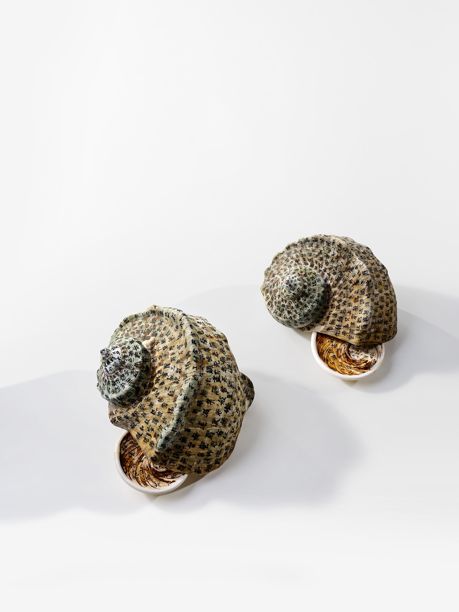 Tsai Charwei — A Dedication to the Victims of the Tsunami of March 11, 2011 - Turbo Marmoratus II