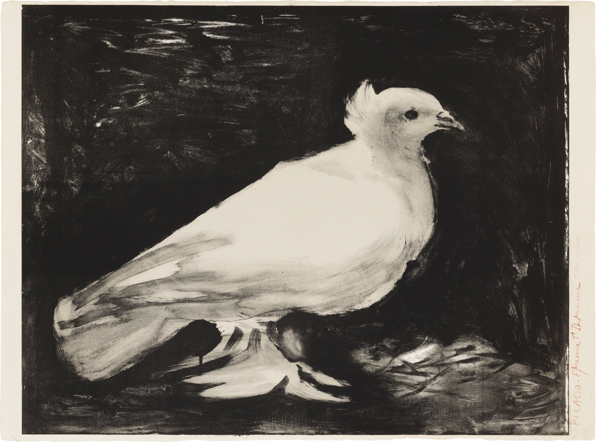 Pablo Picasso — La colombe (The Dove) (Bl. 583, M. 141)