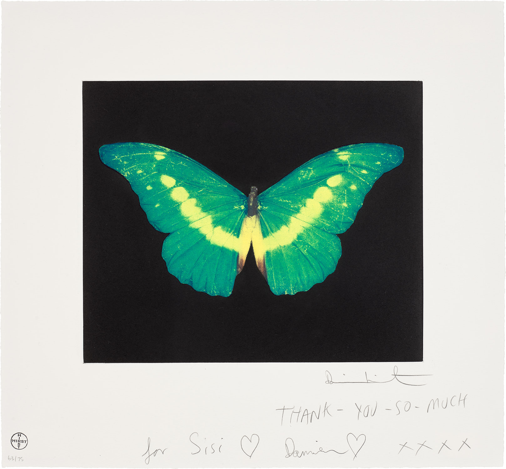 Damien Hirst — To Begin