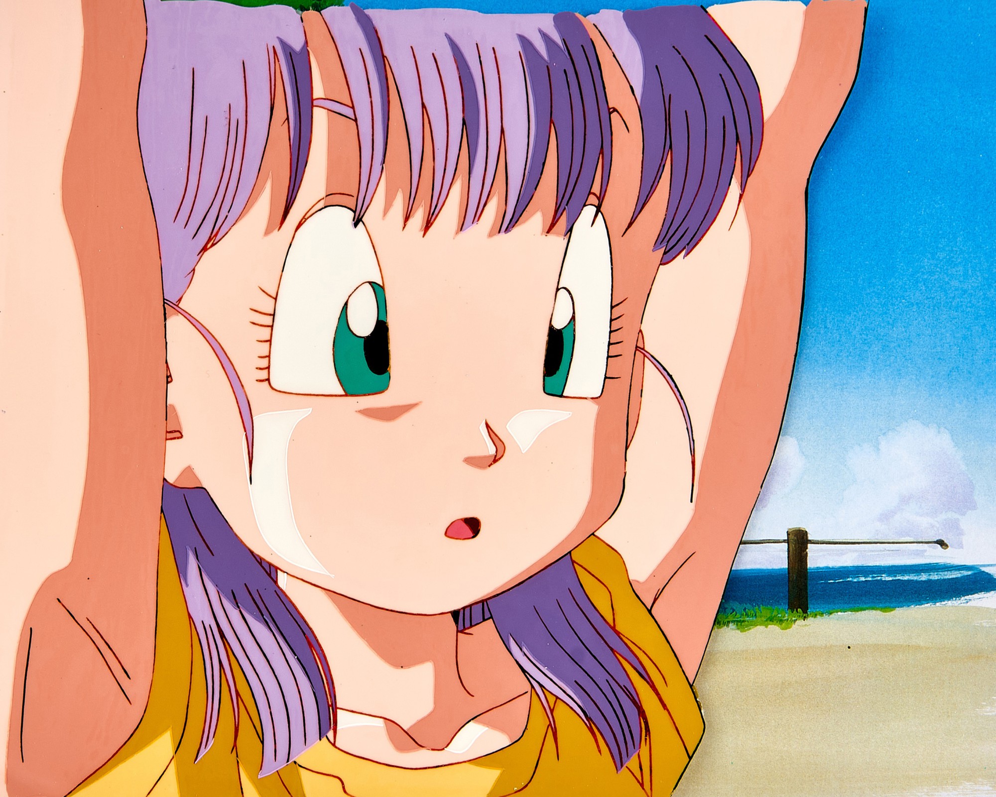 Dragon Ball Z by Toei Animation Co., Ltd. — 莊子，電影4：龍珠最強之道1996賽璐璐，附印刷背景