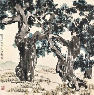 古柏森然 Ancient Cedar Trees