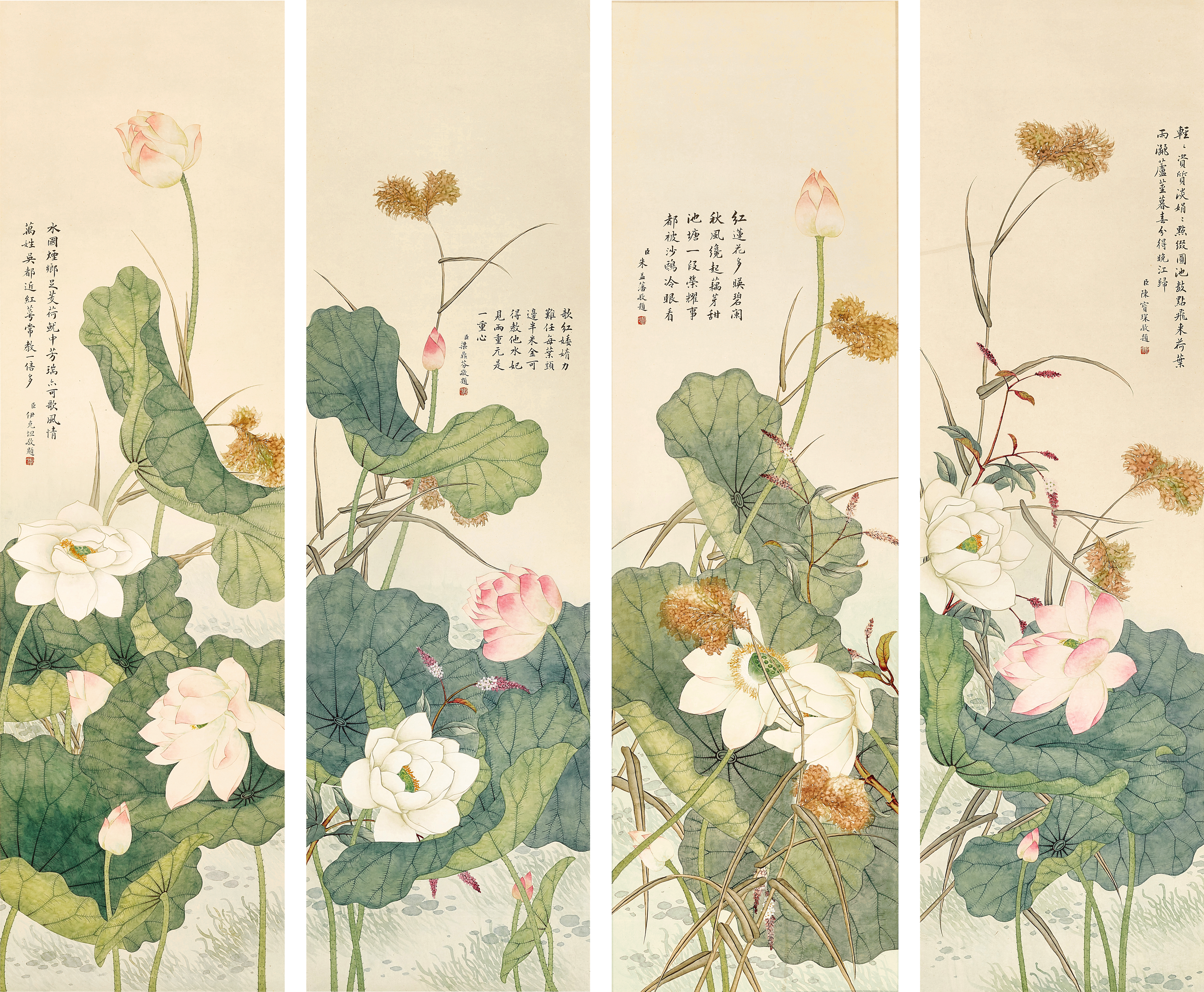 Unknown — Anonymous, Lotus