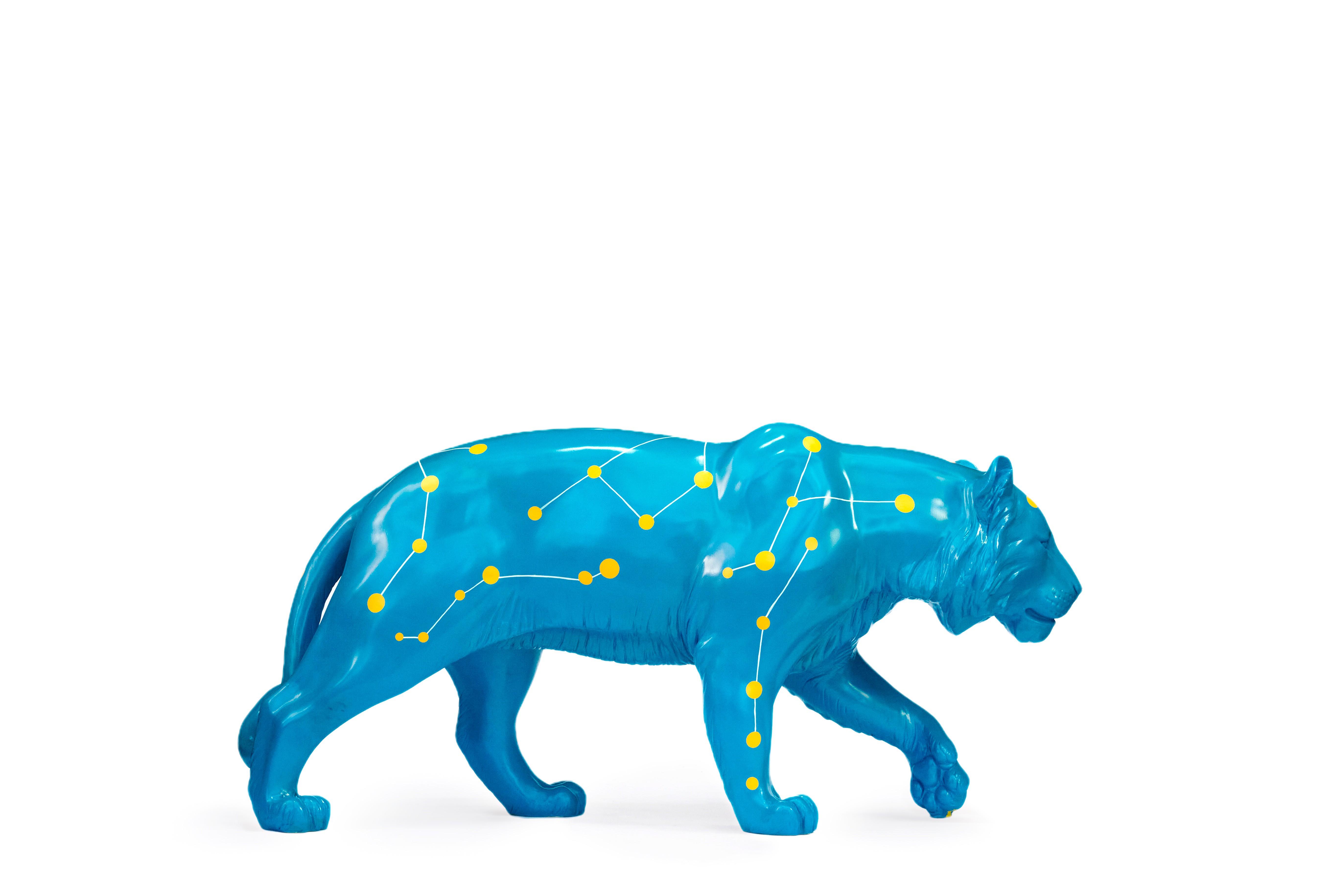 Edge of Forever  永恆邊緣