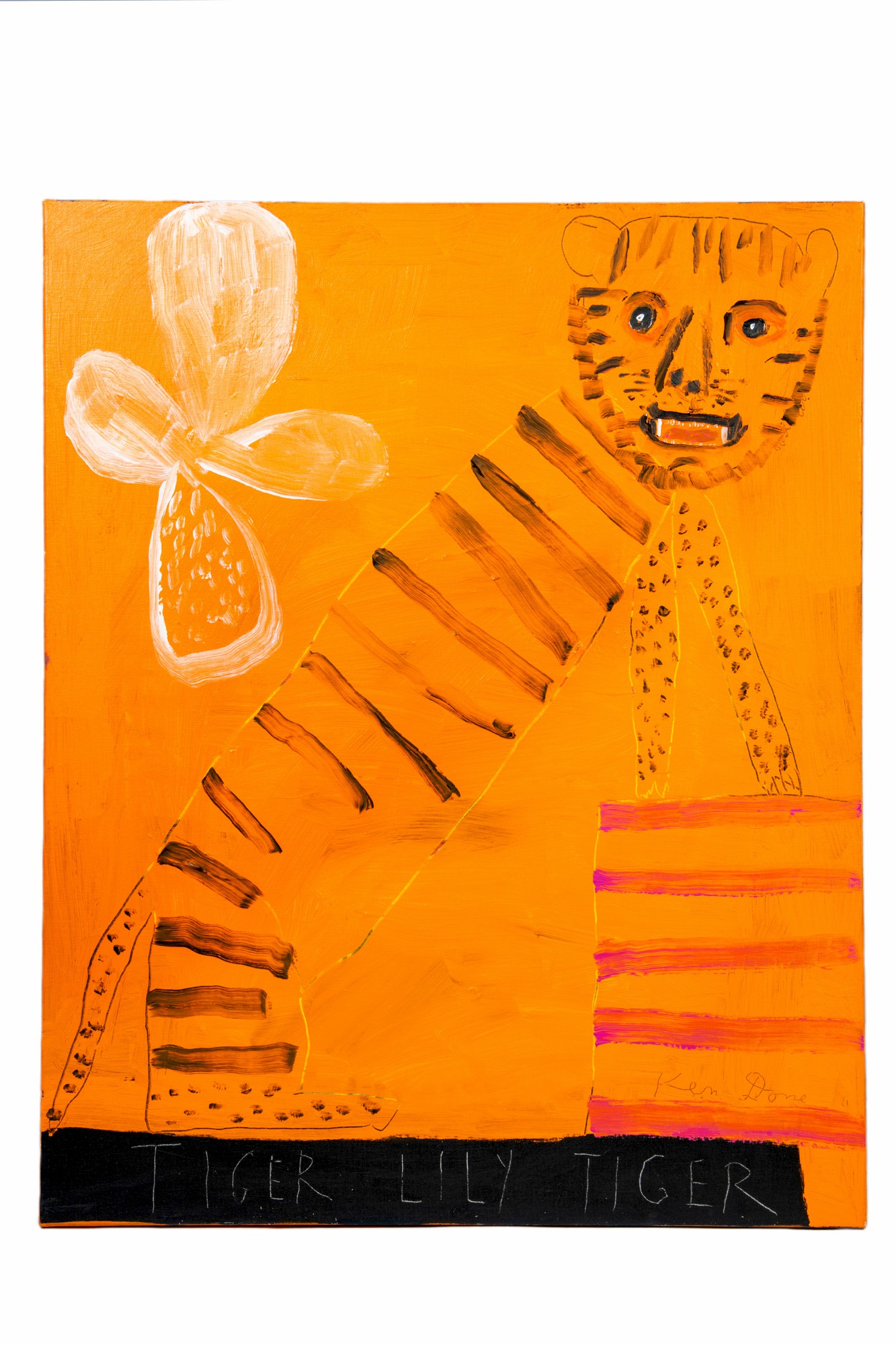 Tiger Lily Tiger 虎皮百合與虎