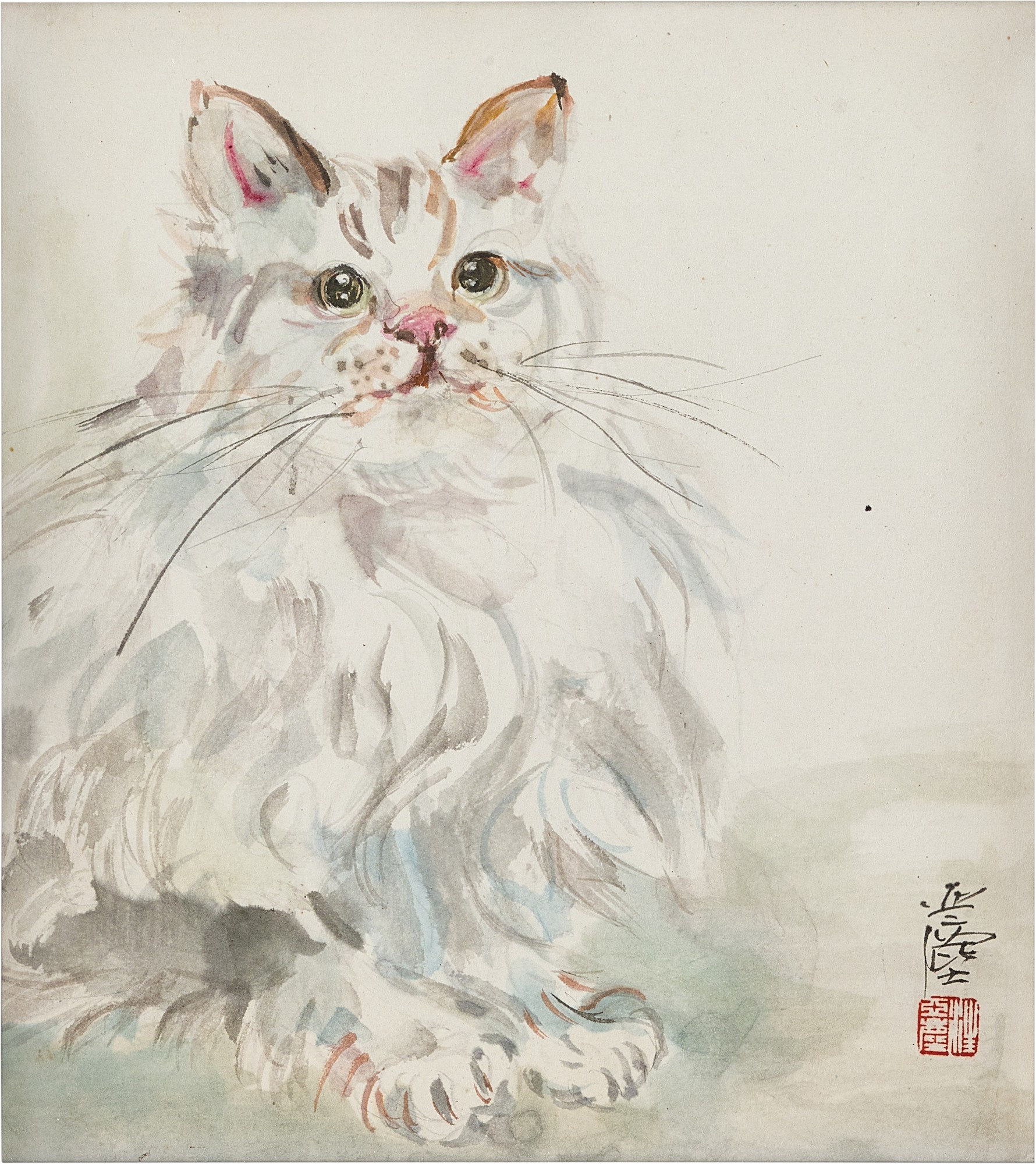 Cat 小貓