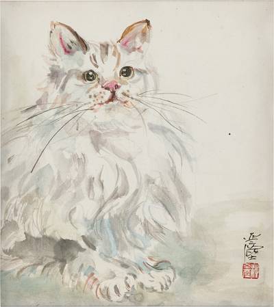 Cat 小貓