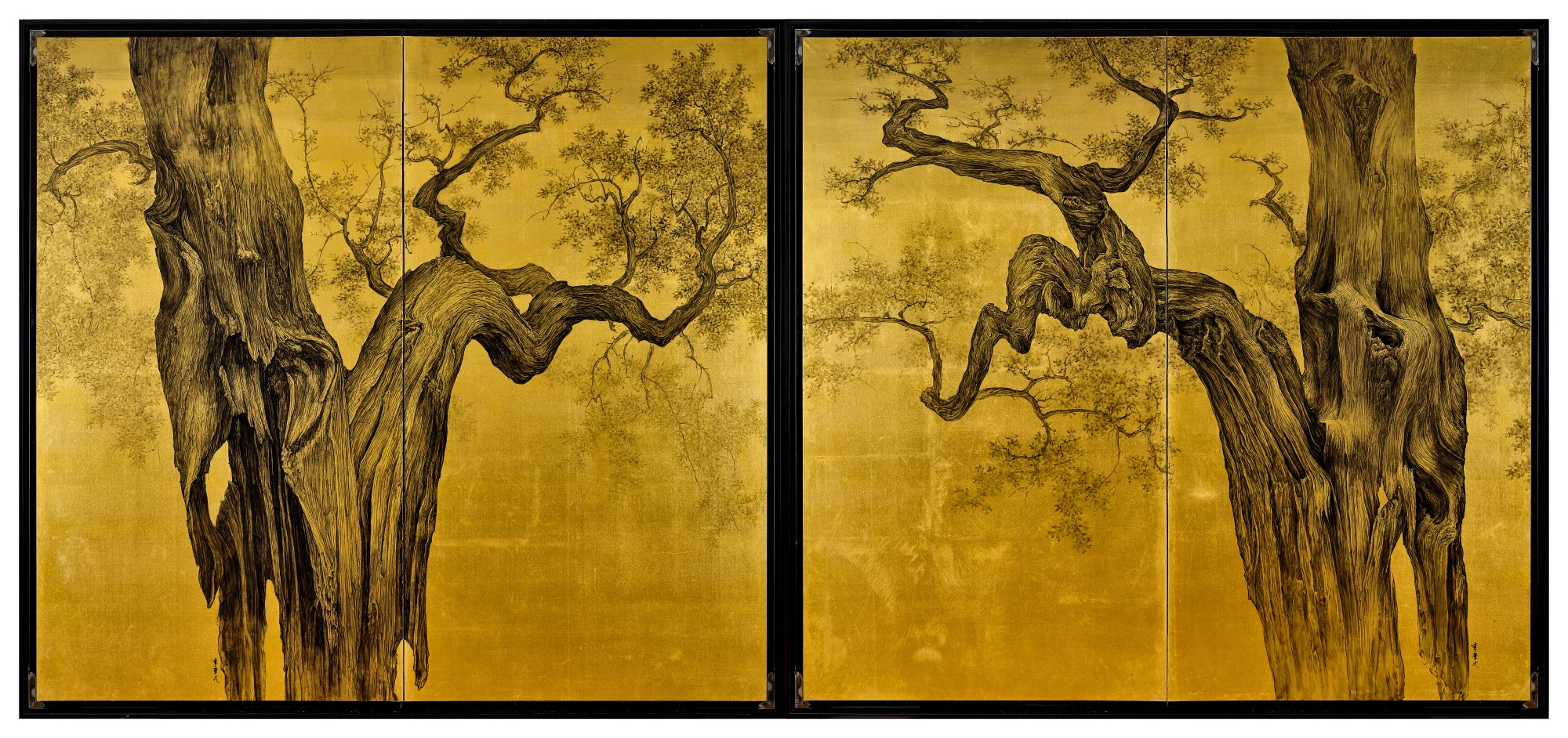 Forever Young 不老