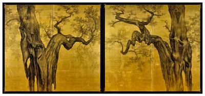 Forever Young 不老