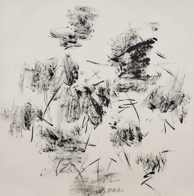 Lotus series  荷花系列