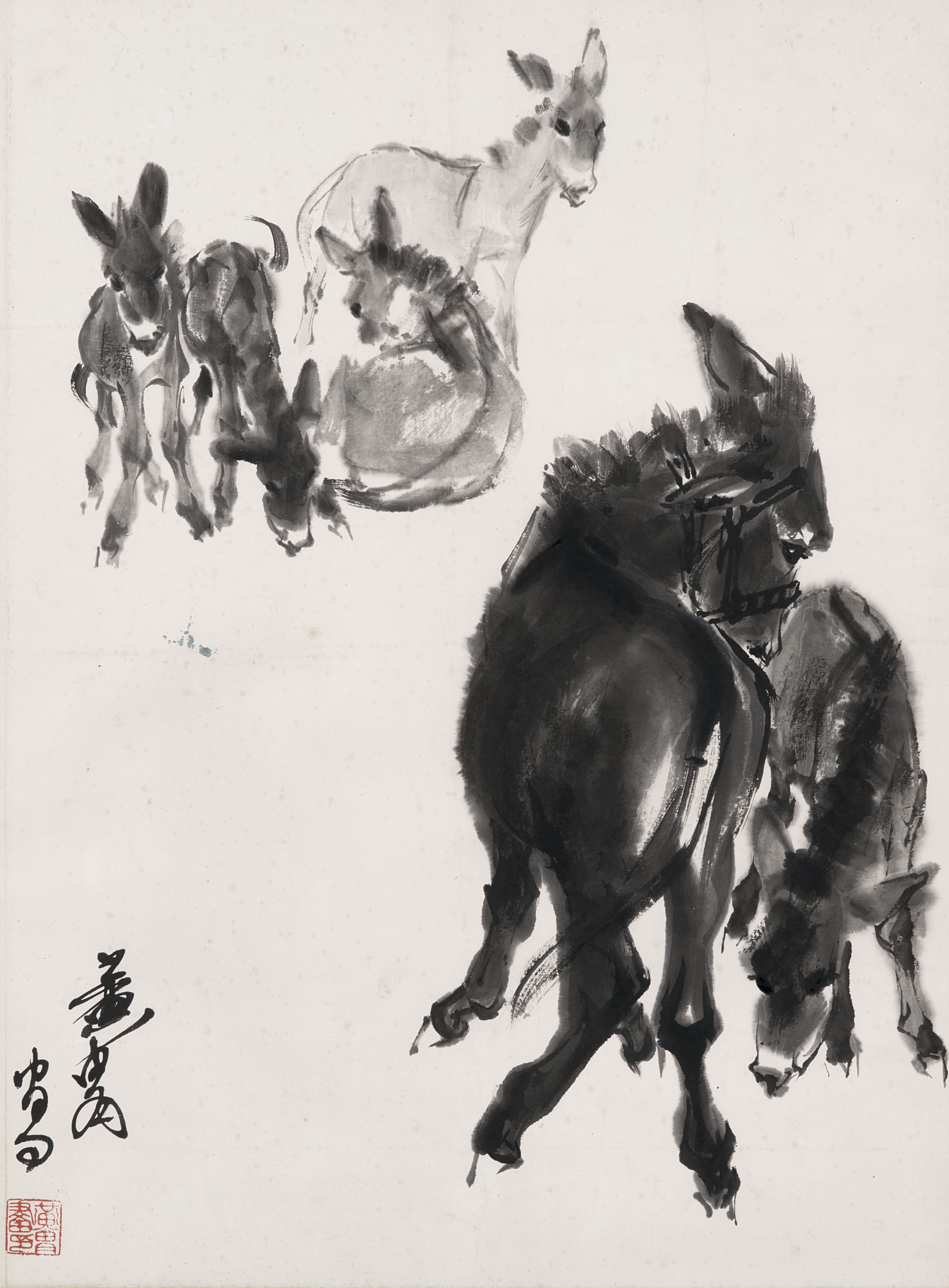 Huang Zhou — Huang Zhou,  Donkeys