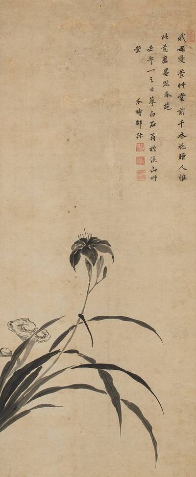 Tigerlily and Lingzhi