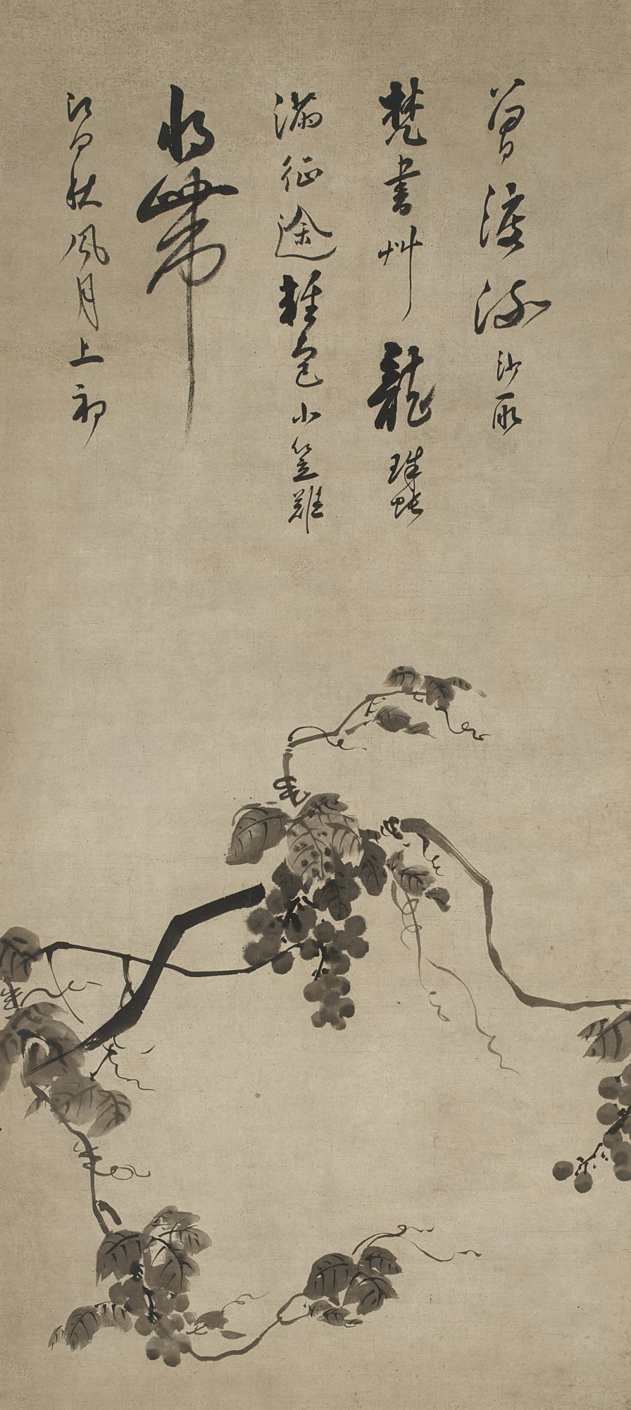 Attributed to Wen Riguan — Grapes