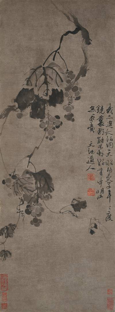 Attributed to Xu Wei